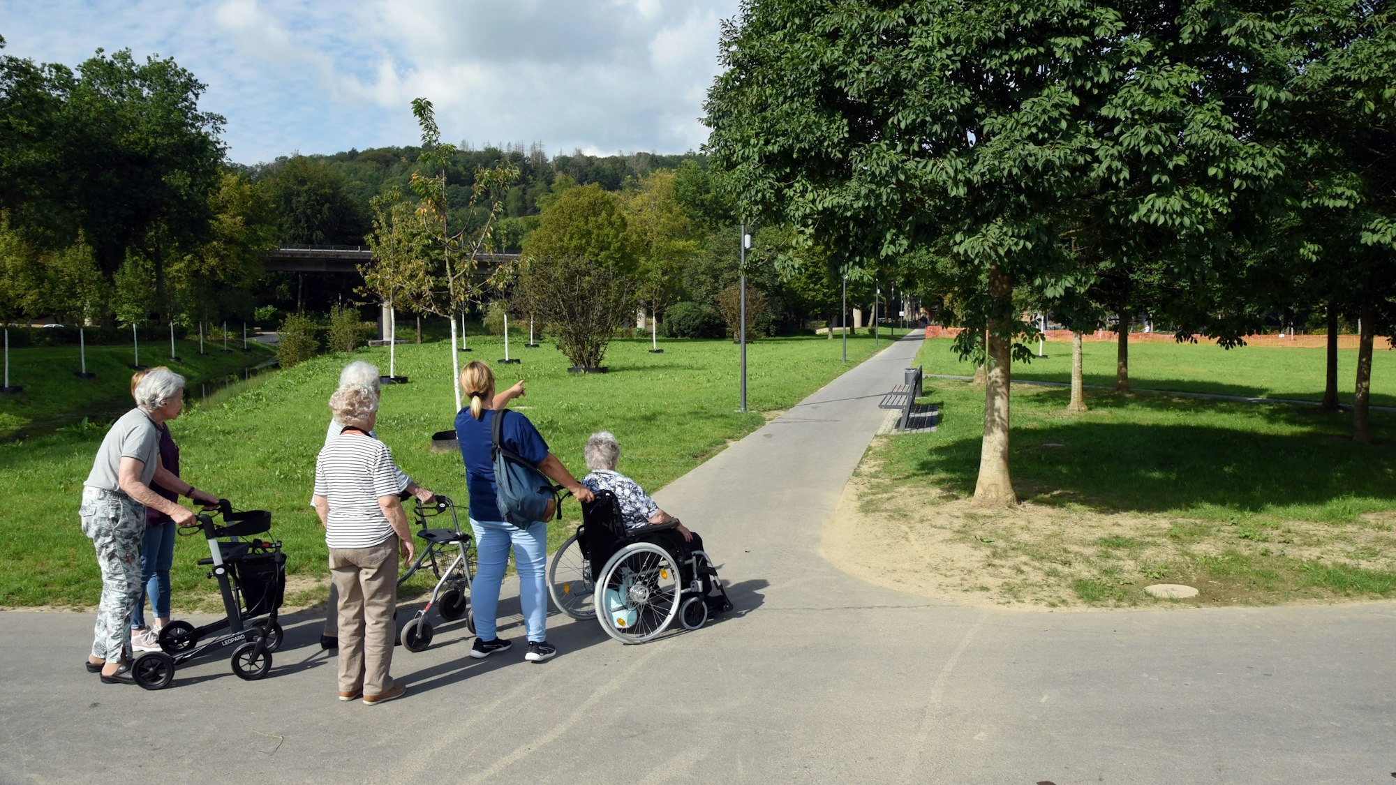 Ältere Damen mit Rollatoren und Rollstuhl bewegen sich auf einem Parkweg.