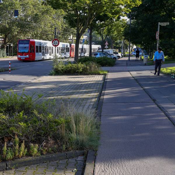 24.08.2023, Köln: Wege im Inneren Grüngürtel an der Zülpicher Straße sollen entsiegelt werden, damit mehr Regenwasser versickern kann.
Foto: Michael Bause