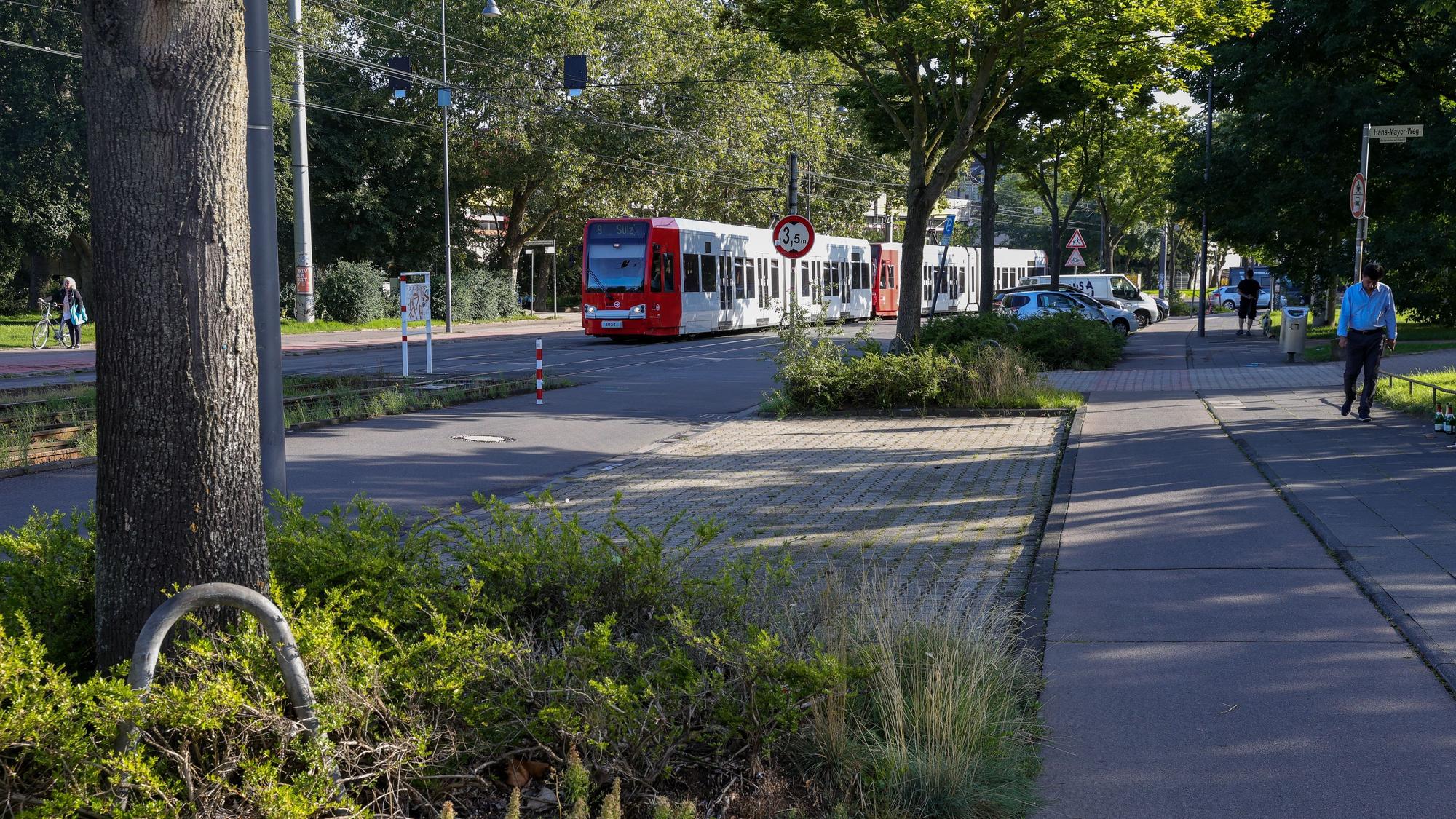 24.08.2023, Köln: Wege im Inneren Grüngürtel an der Zülpicher Straße sollen entsiegelt werden, damit mehr Regenwasser versickern kann.
Foto: Michael Bause