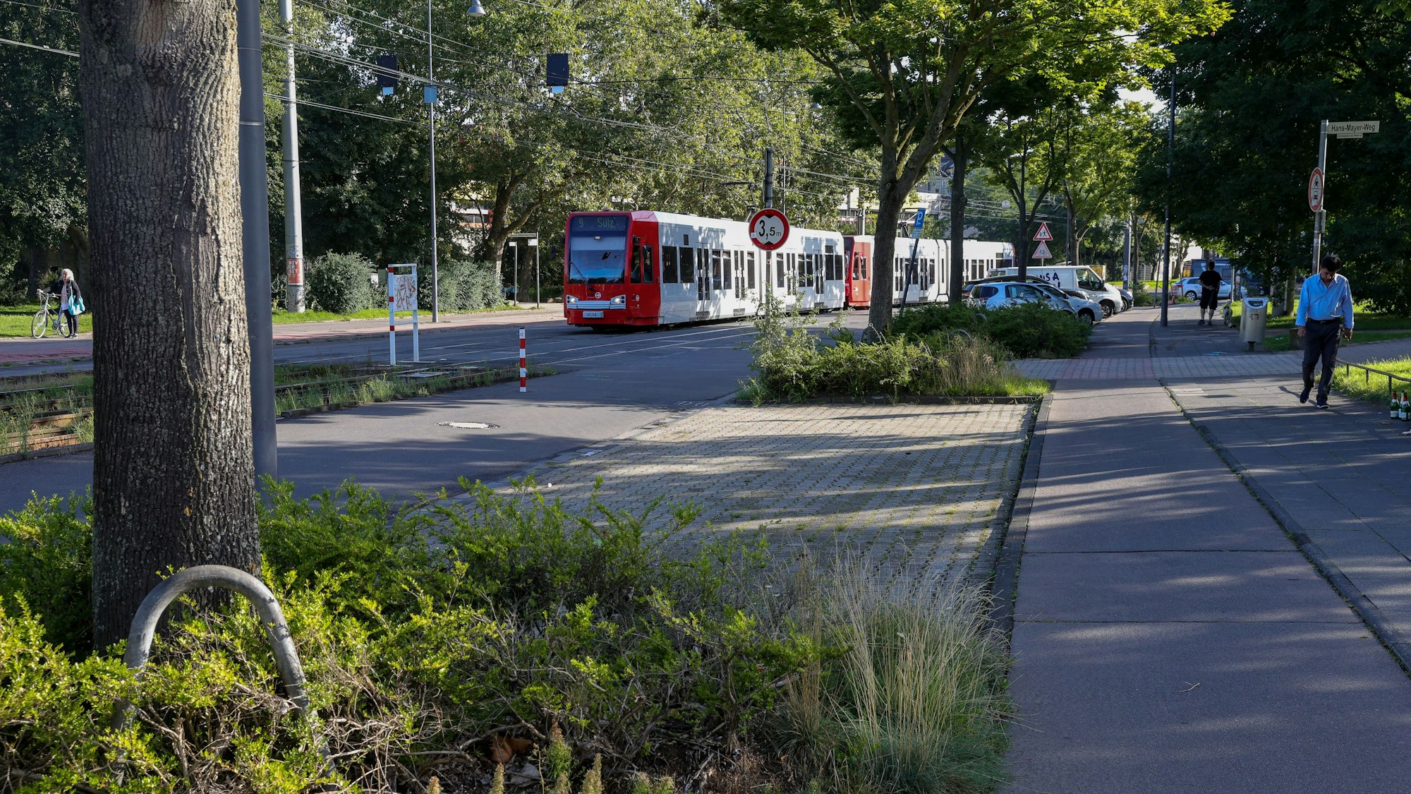 24.08.2023, Köln: Wege im Inneren Grüngürtel an der Zülpicher Straße sollen entsiegelt werden, damit mehr Regenwasser versickern kann.
Foto: Michael Bause