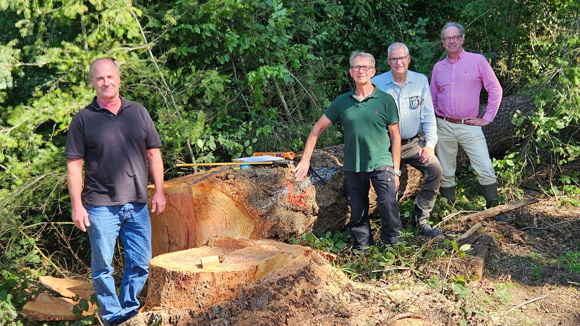 Vier Männer, Ernst Hupp (v.l.), Ruthard Männle, Edgar Kroymann und Michael von Brauchitsch, stehen vor einer abgesägten Douglasie.
