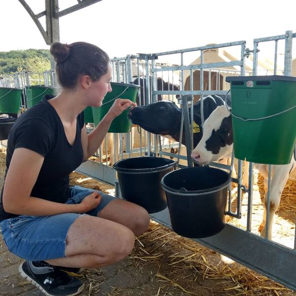 Junge Landwirtin streichelt ein Kalb.
