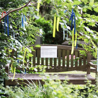 14.08.2023
Köln:
Rund 100 Private Sitzbänke auf dem Melaten Friedhof sollen verschwinden - Betroffene sind schockiert, starten jetzt auch eine Petition.
Foto: Martina Goyert