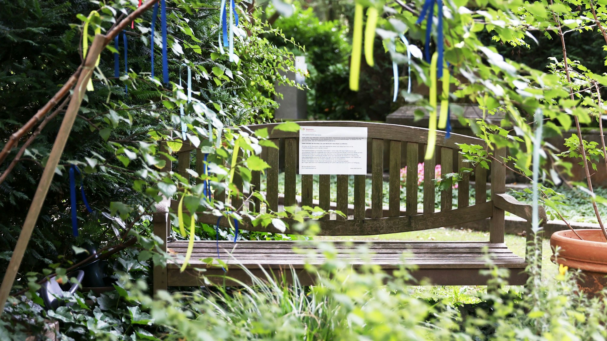 14.08.2023
Köln:
Rund 100 Private Sitzbänke auf dem Melaten Friedhof sollen verschwinden - Betroffene sind schockiert, starten jetzt auch eine Petition.
Foto: Martina Goyert