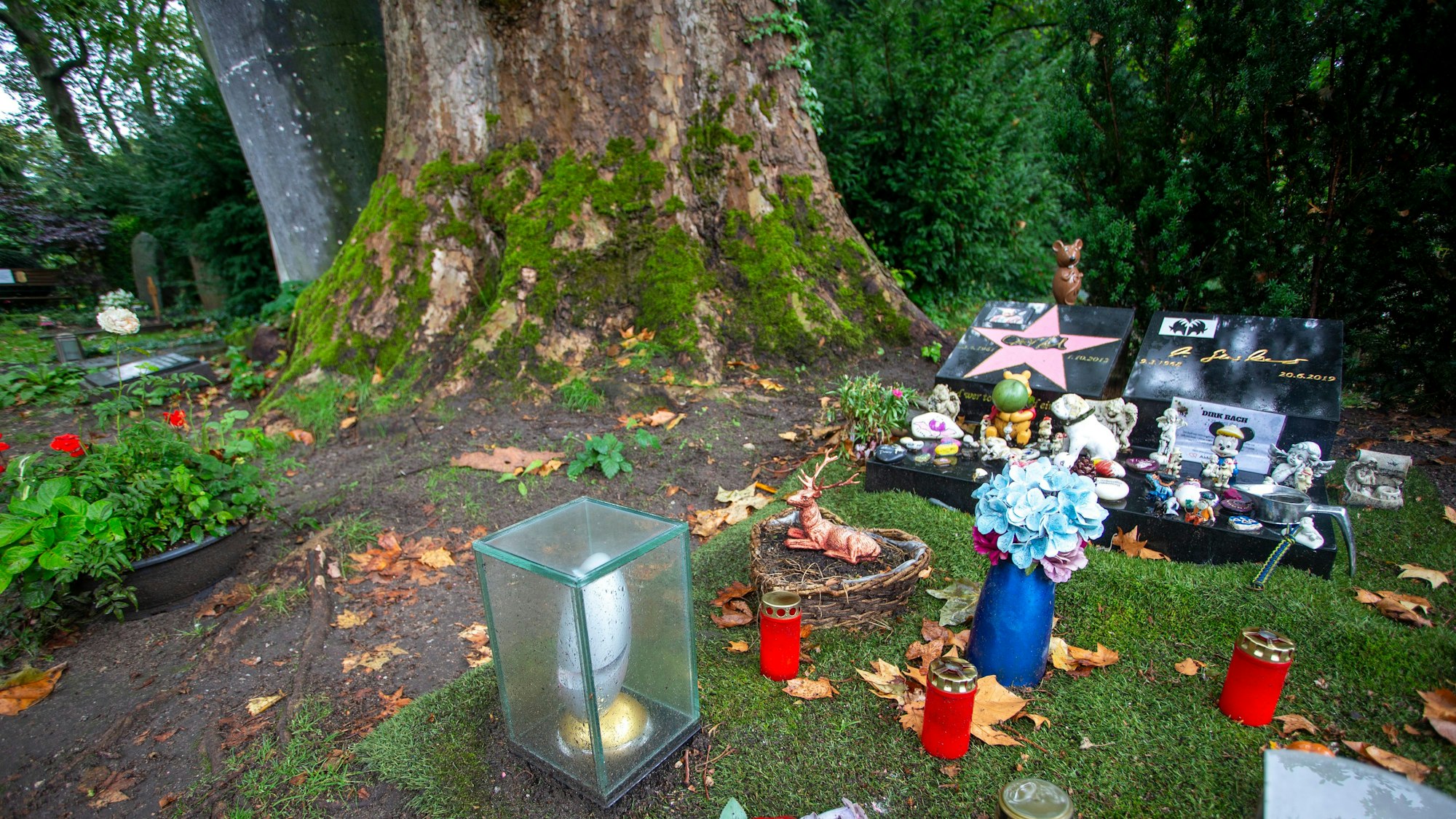 Blick auf die Grabstelle von Dirk Bach mit einem Baum im Hintergrund. Die Fläche, wo früher eine Bank stand, ist leer.