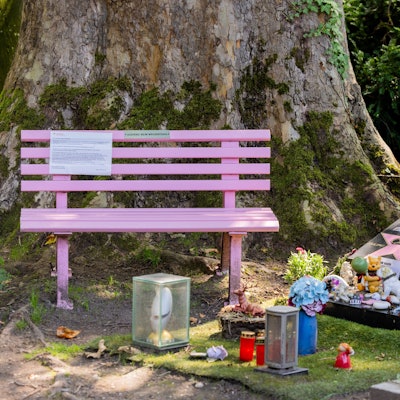 Die rosafarbene Bank am Grab von Dirk Bach auf dem Melaten Friedhof.