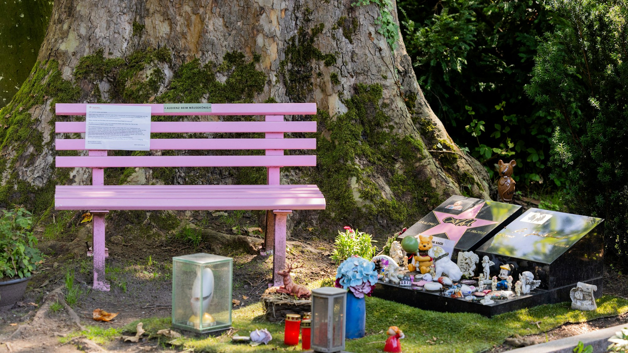 Die rosafarbene Bank am Grab von Dirk Bach auf dem Melaten Friedhof.