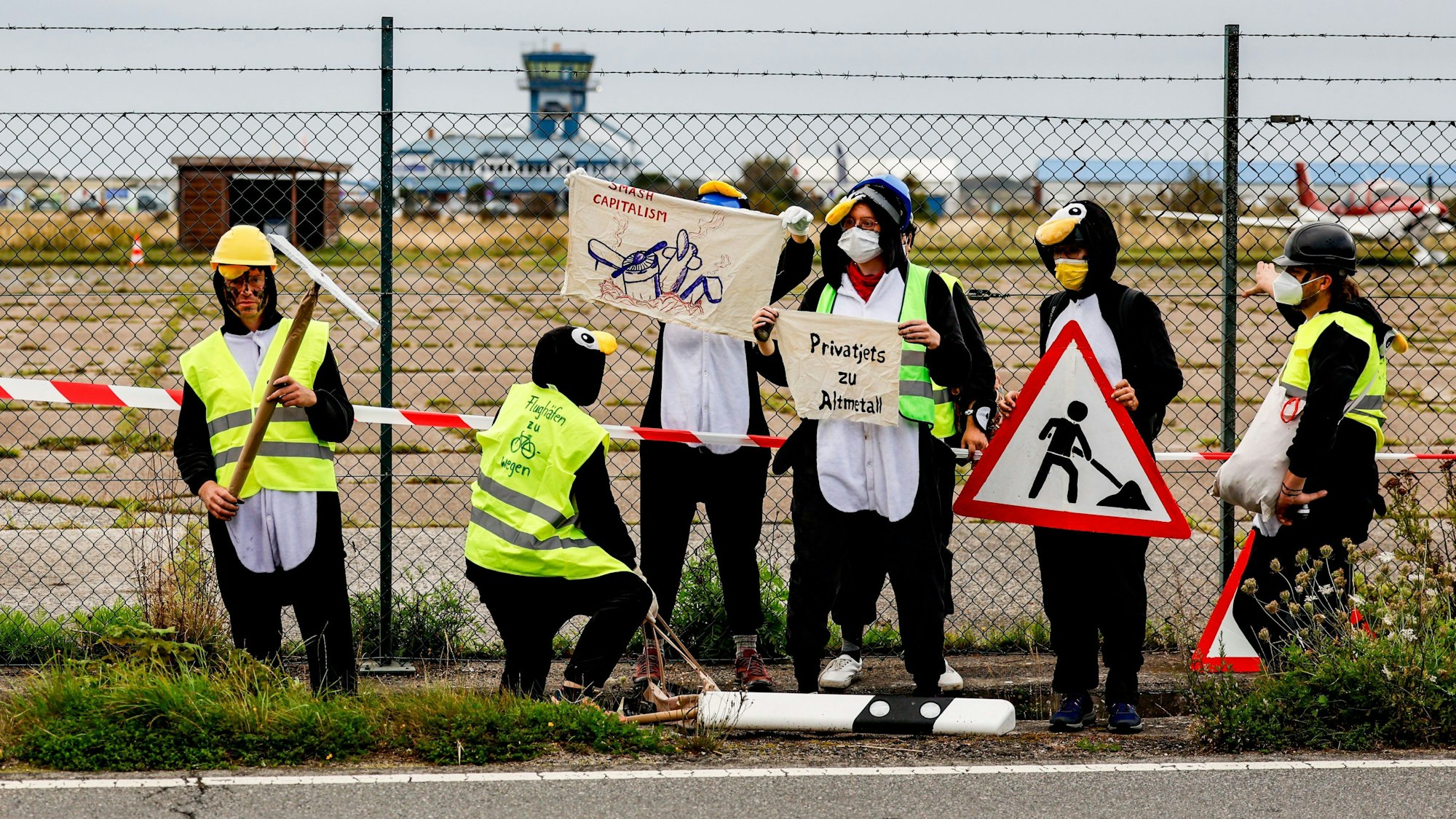 Pinguine am Flughafen.