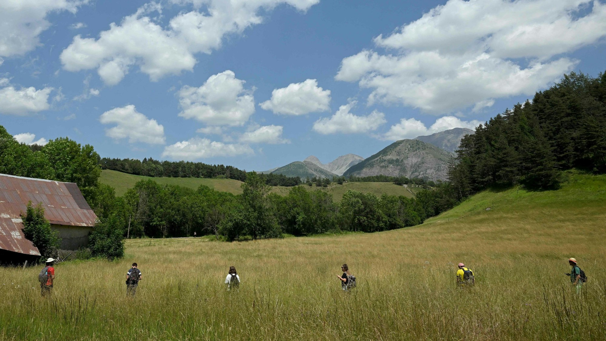 Freiwillige nehmen in dem südfranzösischen Alpendorf Le Vernet an einer Suchaktion nach einem zweieinhalbjährigen Émile teil.