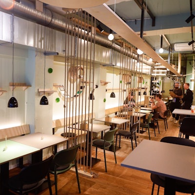 Der Katzentempen ist schmal und hell. An den Wänden hängen allerlei Plätze, auf denen Katzen entspannen können.