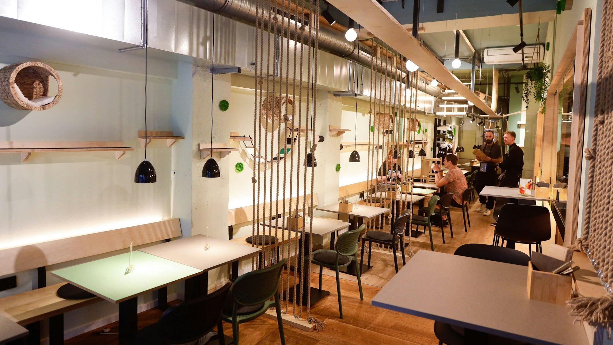 Der Katzentempen ist schmal und hell. An den Wänden hängen allerlei Plätze, auf denen Katzen entspannen können.