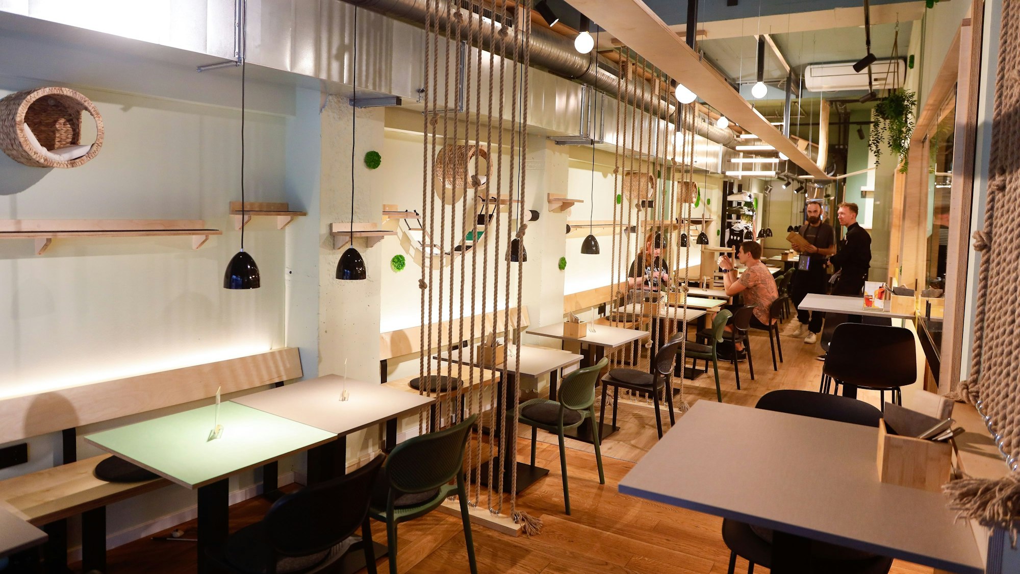 Innenraum Katzentempel in der Severinstraße Köln.