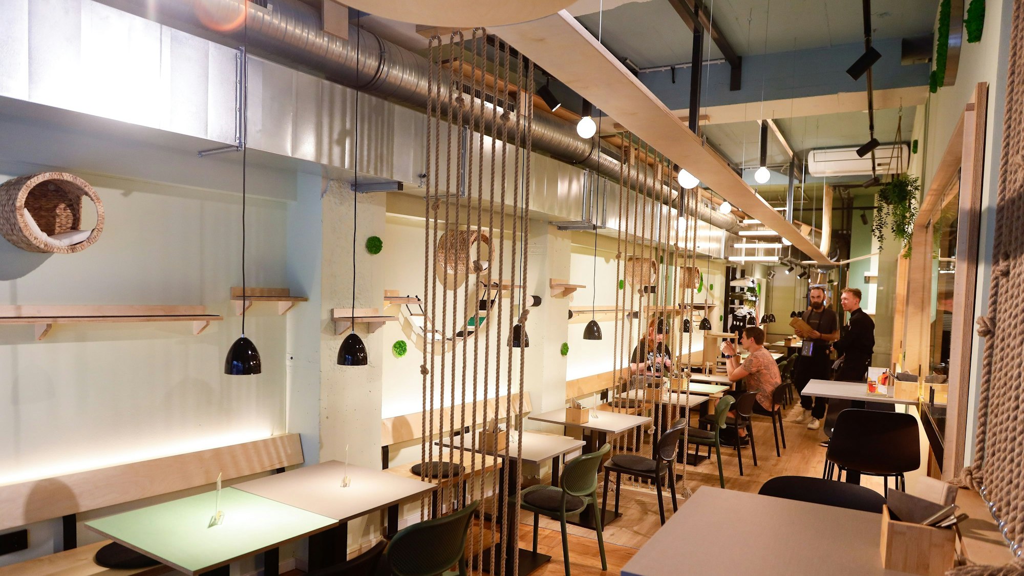Die moderne Inneneinrichtung des neuen Katzecafés.