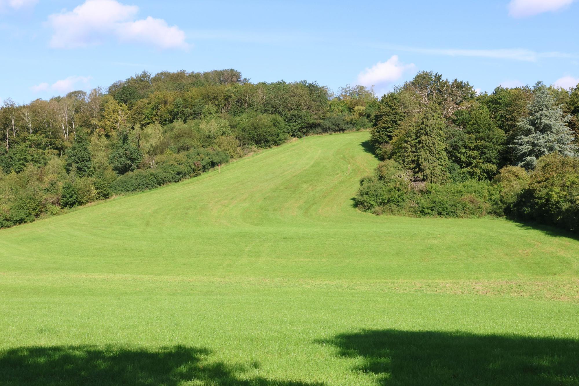 Die sogenannte Ballonweise zwischen dem Eckenhagener Stadion, dem Schulzentrum und dem Affen- und Vogelpark: Auf dem obersten Teil könnten sich –sozusagen in Querlage und auf einer Breite von 32 Meter – die Parkplätze für die Sommerrodelbahn erstrecken.