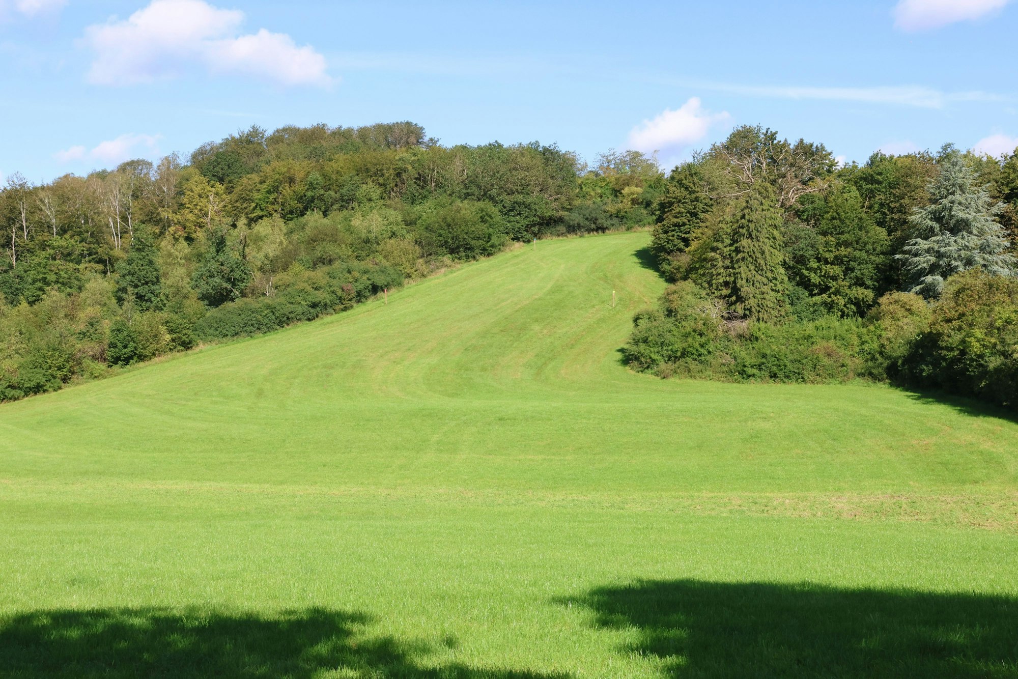 Die sogenannte Ballonweise zwischen dem Eckenhagener Stadion, dem Schulzentrum und dem Affen- und Vogelpark: Auf dem obersten Teil könnten sich –sozusagen in Querlage und auf einer Breite von 32 Meter – die Parkplätze für die Sommerrodelbahn erstrecken.