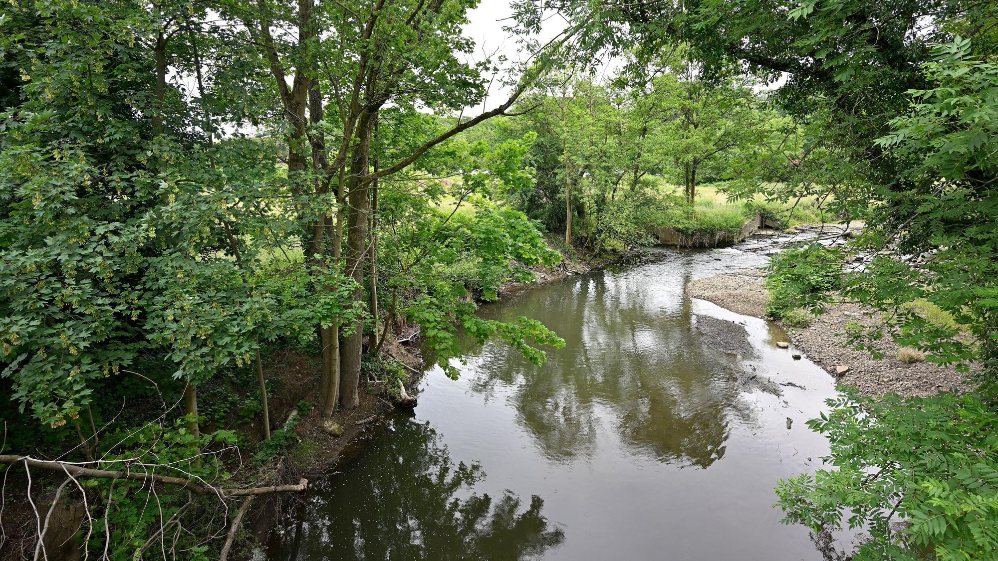 Ein Fluss windet sich durch ein grünes Tal.