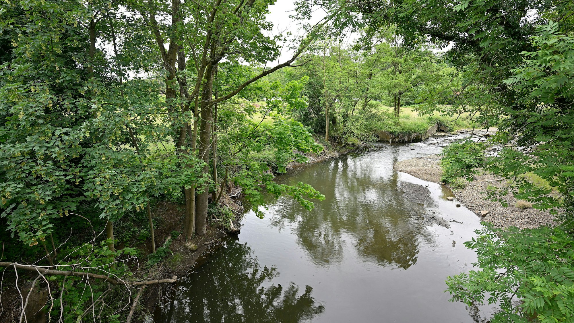 Ein Fluss windet sich durch ein grünes Tal.
