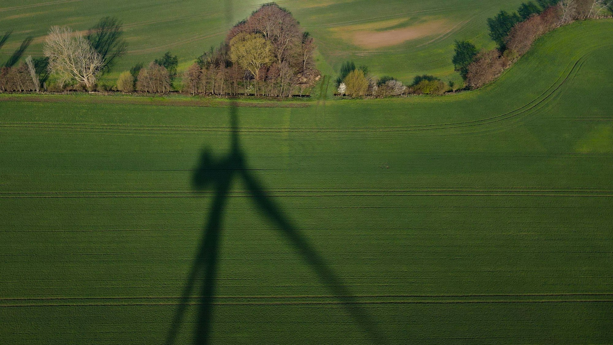 Der Schatten einer Windenergieanlage fällt auf eine Wiese.