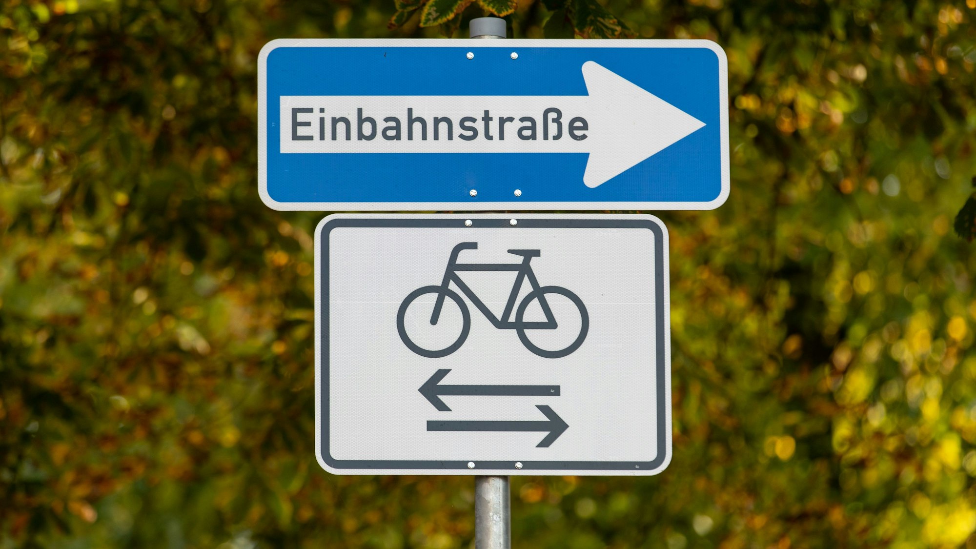 Das Bild zeigt ein Einbahnstraßen-Schild. Darunter: eine Abbildung eines Fahrrads. Pfeile zeigen in beide Richtungen.