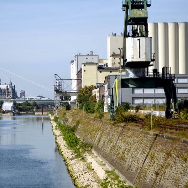 Domblick: Im früheren Industriestandort Deutzer Hafen sollen später einmal 6900 Menschen wohnen und 6000 Menschen arbeiten.
