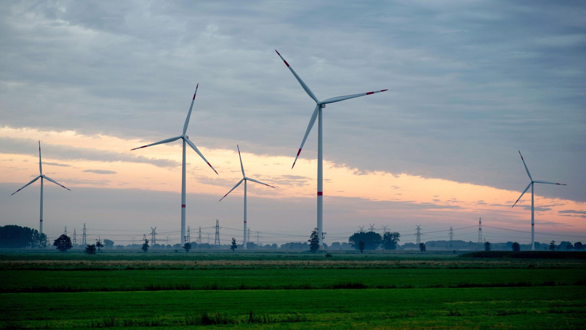 Windräder stehen auf einer Wiese.