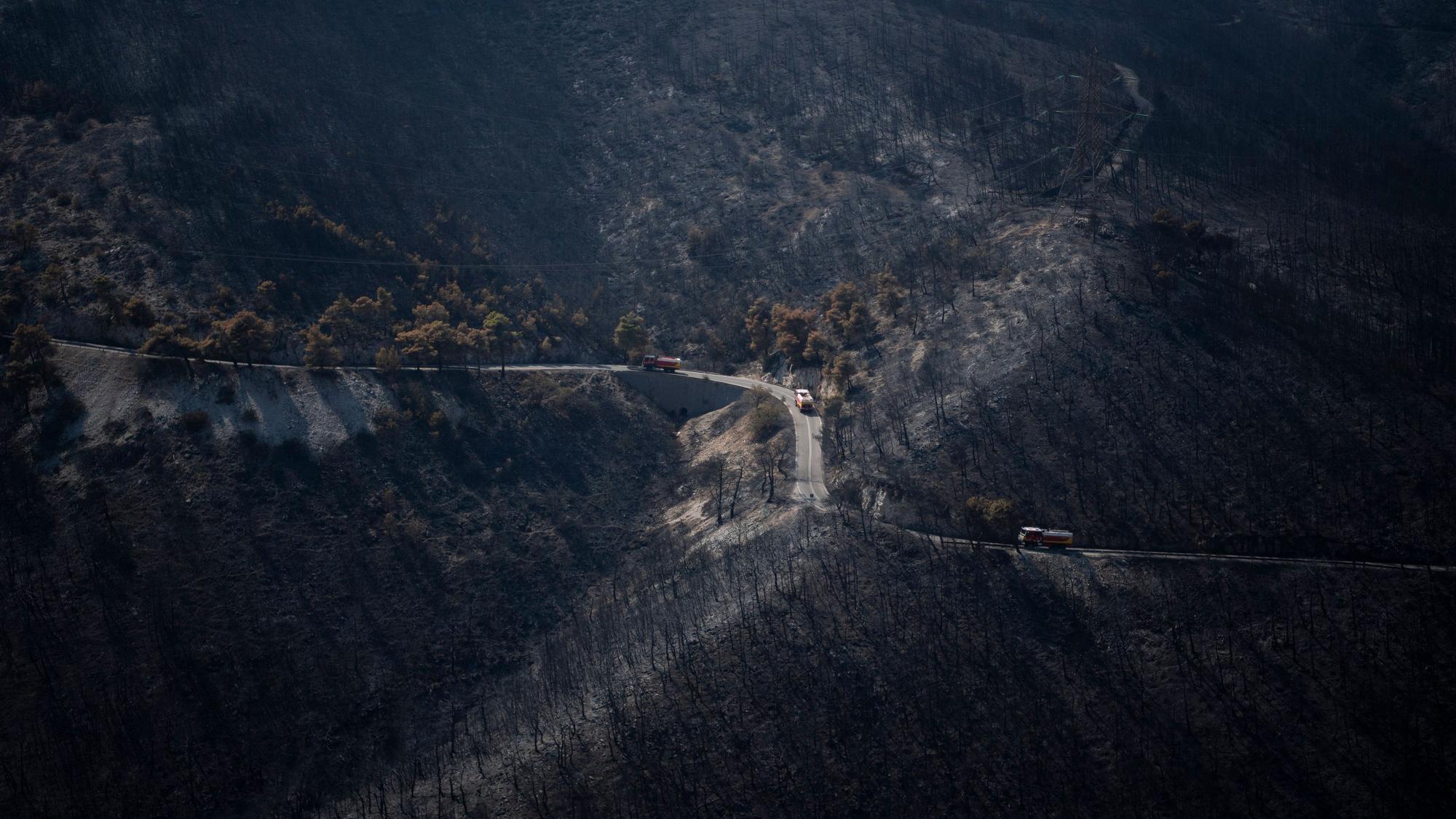 dpatopbilder - 25.08.2023, Griechenland, Athen: Feuerwehrautos fahren über eine Straße in einem verbrannten Wald in der Nähe des Vororts Fyli. Bei den verheerenden Waldbränden im Nordosten Griechenlands sind am Donnerstag (24.08.2023) weitere Leichen geborgen worden.