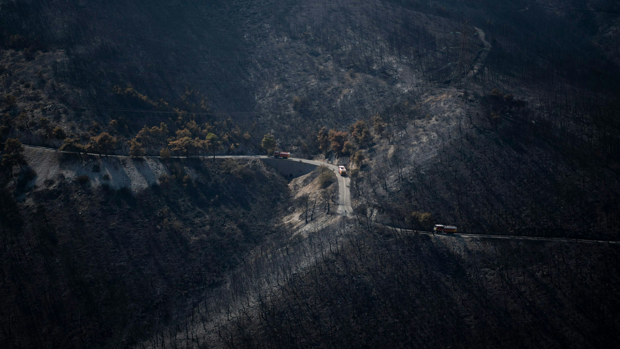 dpatopbilder - 25.08.2023, Griechenland, Athen: Feuerwehrautos fahren über eine Straße in einem verbrannten Wald in der Nähe des Vororts Fyli. Bei den verheerenden Waldbränden im Nordosten Griechenlands sind am Donnerstag (24.08.2023) weitere Leichen geborgen worden.