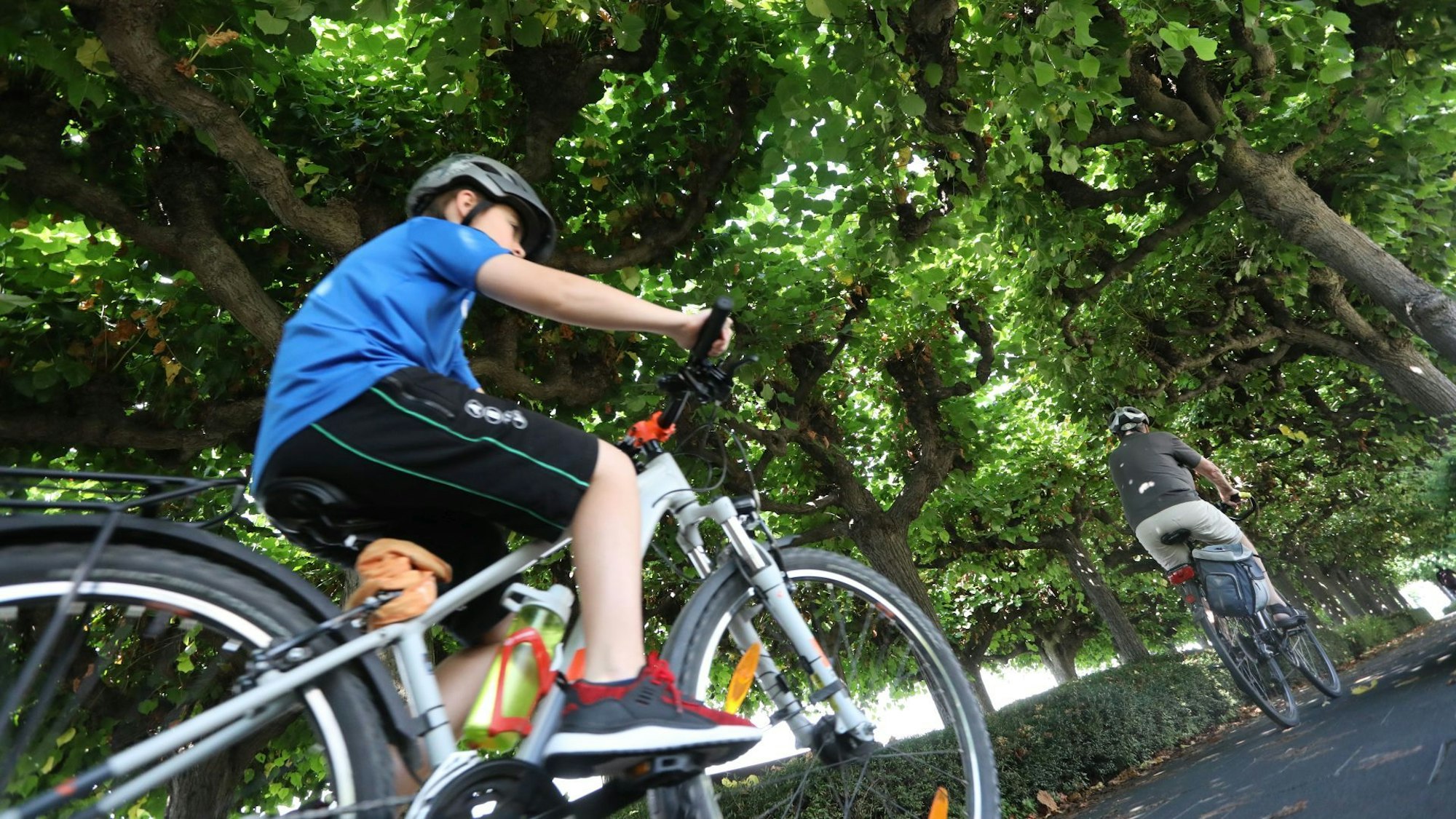 Die Radfahrer sollen anstatt der Nutzung der Lindenallee zukünftig über die Straße geleitet werden.