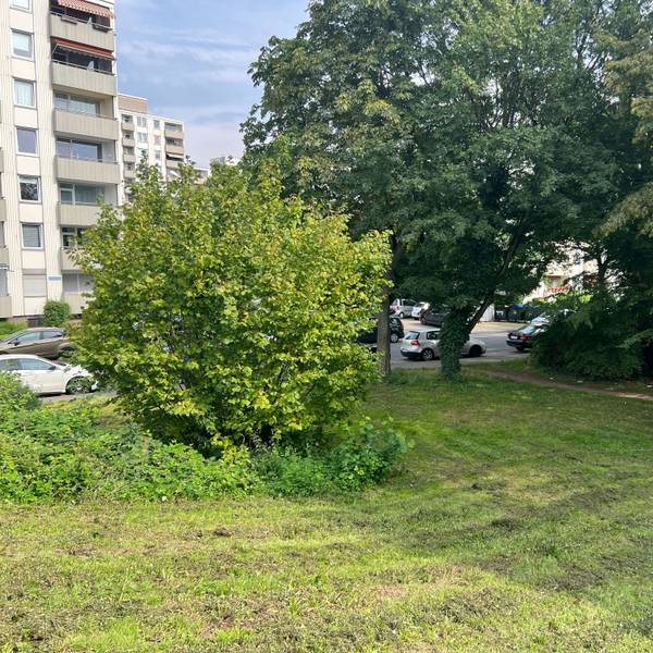 Der Eingang zu einem Park ist zu sehen.