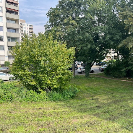 Der Eingang zu einem Park ist zu sehen.