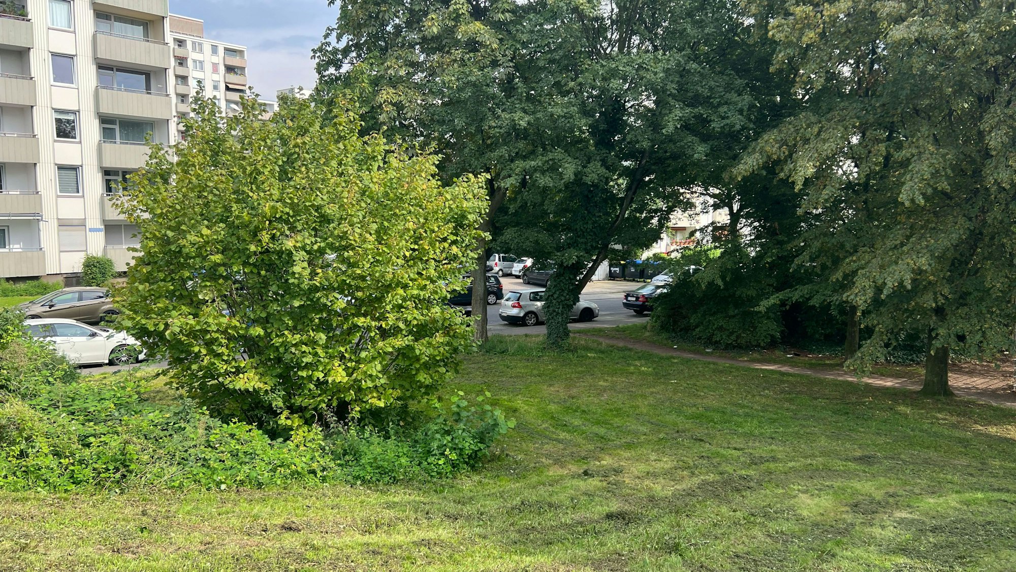 Der Eingang zu einem Park ist zu sehen.
