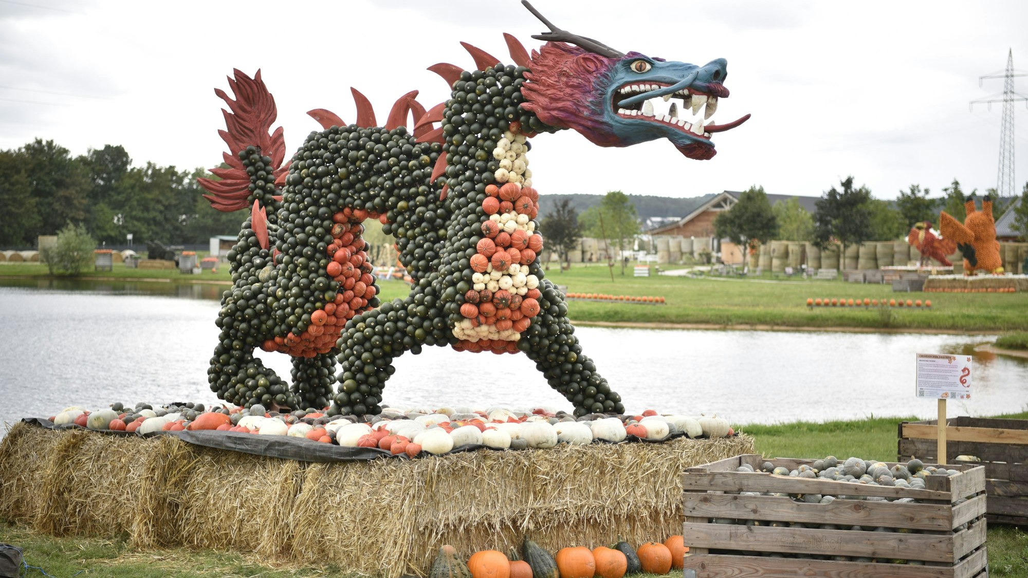 Ein aus grünen, orangen und hellen Kürbissen gebauter Drache an einem See steht auf Strohballen. Im Hintergrund sind weitere Kürbisse zu erkennen.