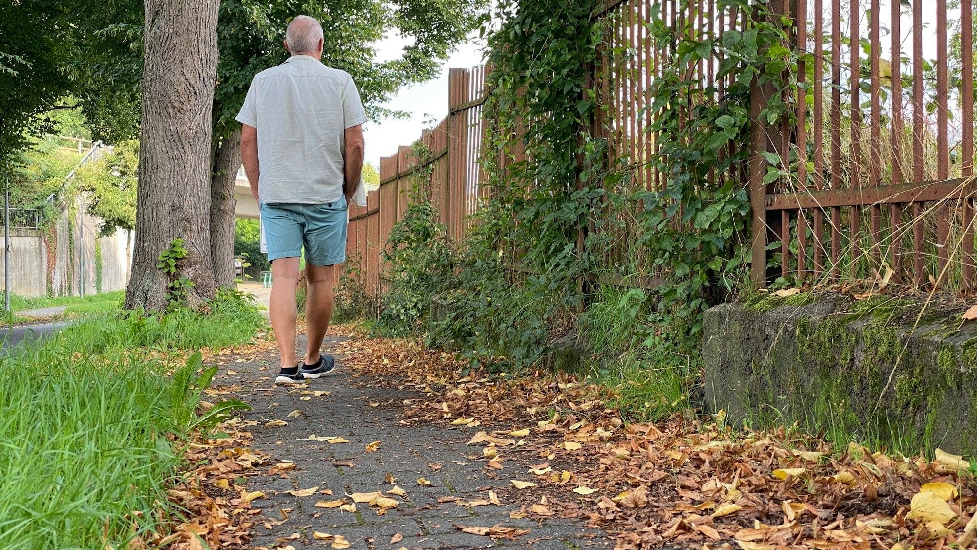 Das Foto zeigt einen von Laub und Gras bedeckten Bürgersteig, auf dem ein Mann entlang geht.