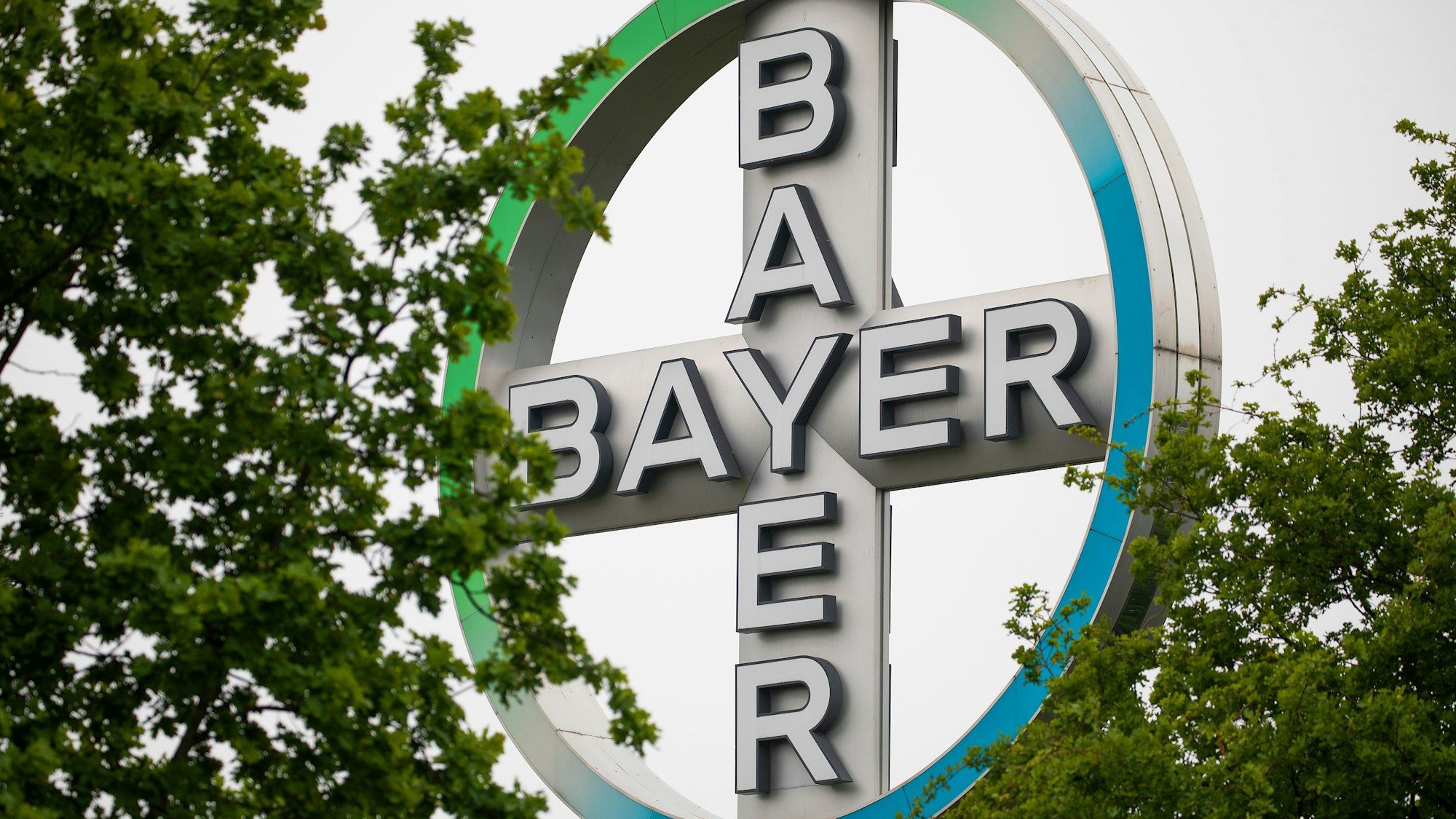 Das Bayer Kreuz, Logo des Unternehmens Bayer, steht zwischen Bäumen am Flughafen Köln/Bonn. Der Agrarchemie- und Pharmakonzern Bayer verkauft seine Tierarzneimittel-Sparte für 7,6 Milliarden US-Dollar (6,85 Mrd Euro) an den US-Konzern Elanco. Das teilte Bayer am Dienstag in Leverkusen mit. +++ dpa-Bildfunk +++
