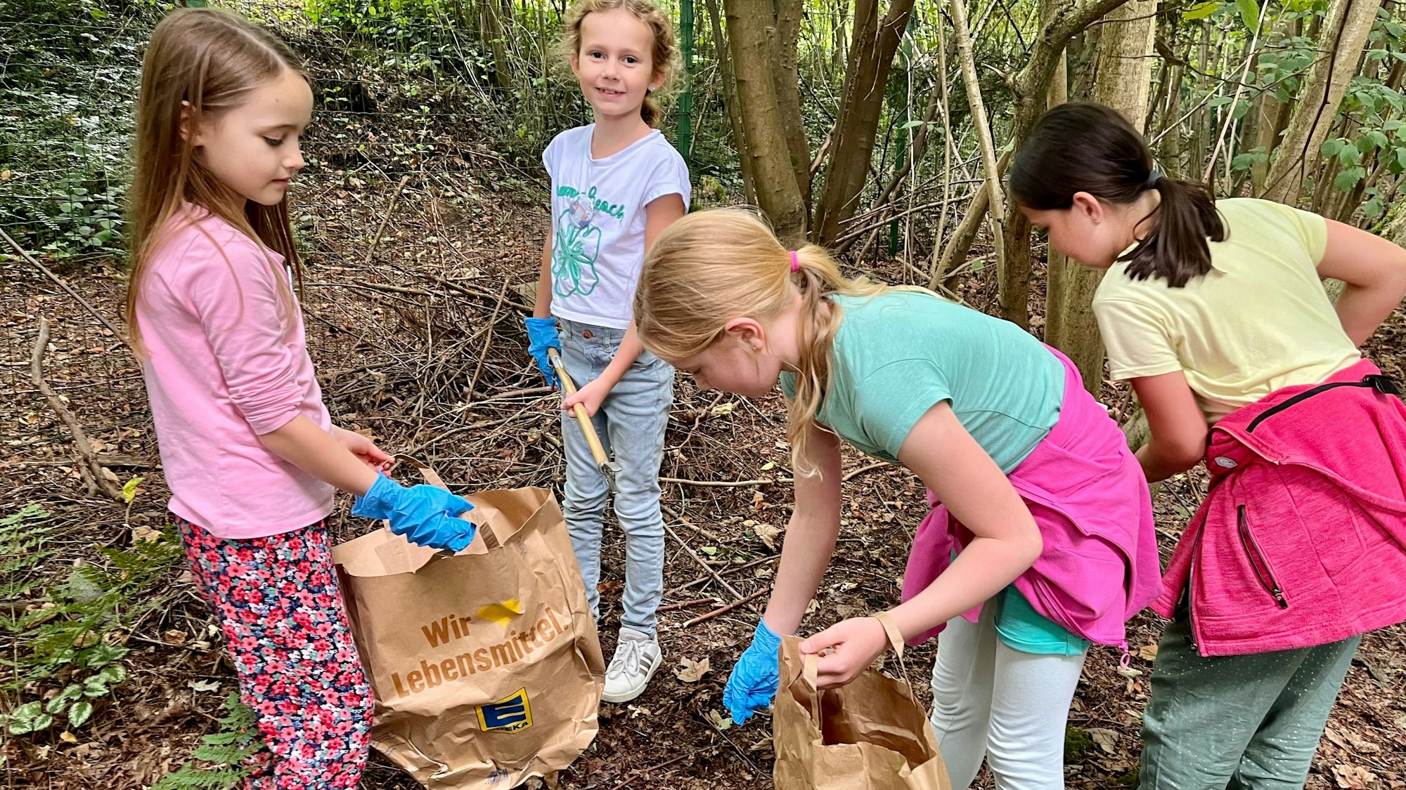 Waldschule räumt den Wald auf