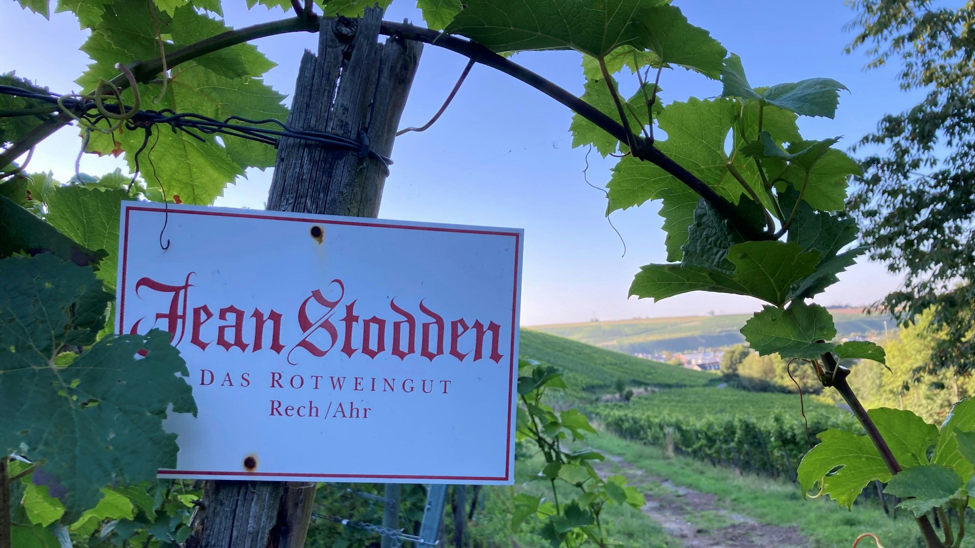 Winzer und Weinberg aus Rech im Ahrtal