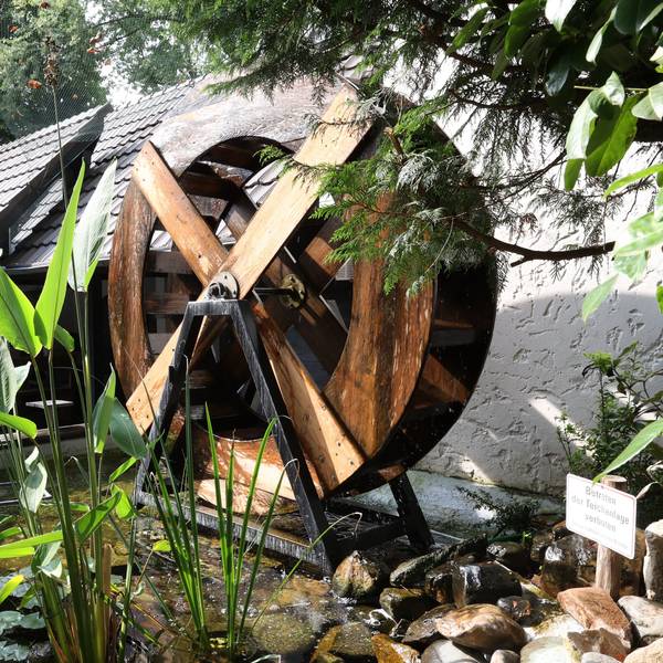 Das Restaurant „Decksteiner Mühle“. Foto: Martina Goyert