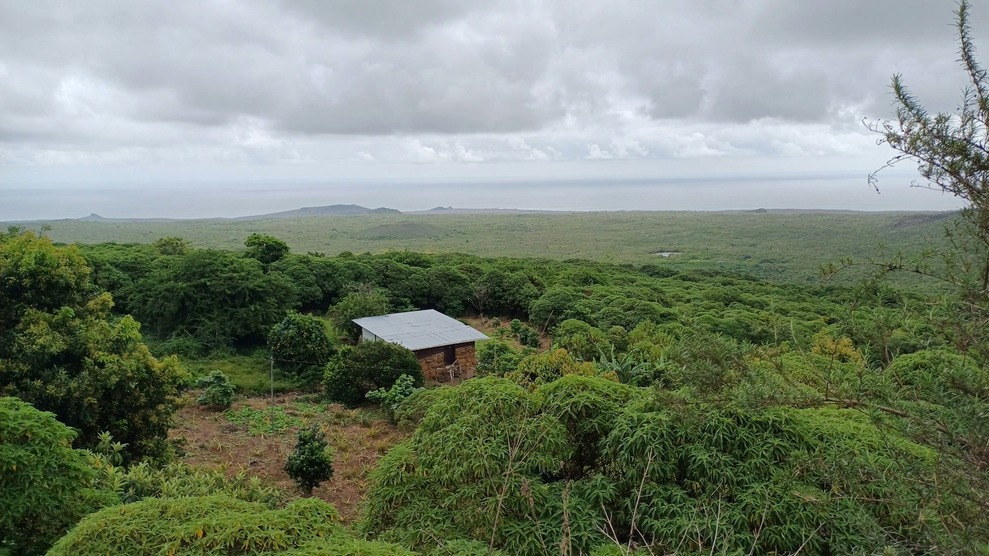 Ein Steinhaus inmitten von Grün.