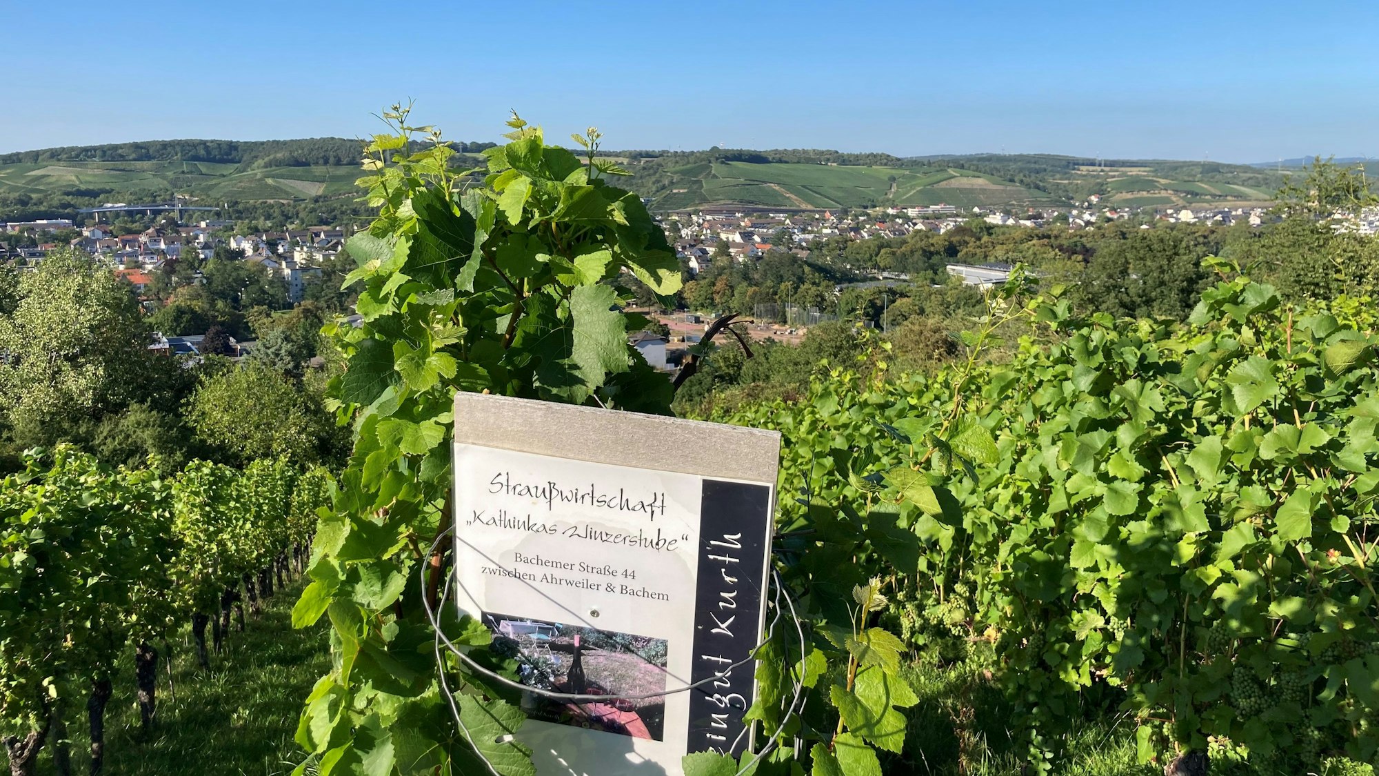 Quer durch die Weinberge im Ahrtal führen wunderschöne Wanderwege - wie hier zwischen Ahrweiler und Bachem