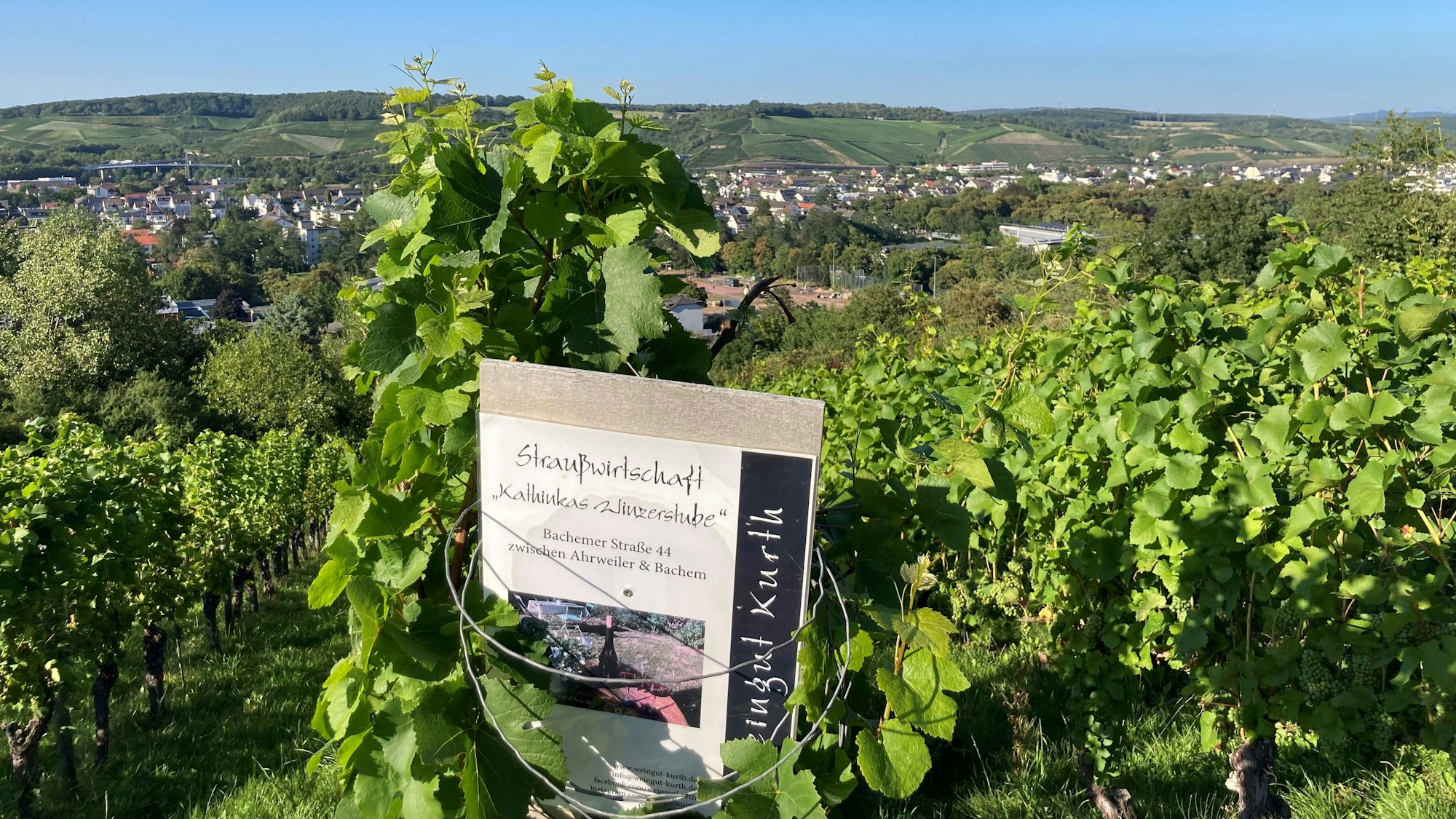 Weinberge im Ahrtal mit Blick auf Bad Neuenahr-Ahrweiler.