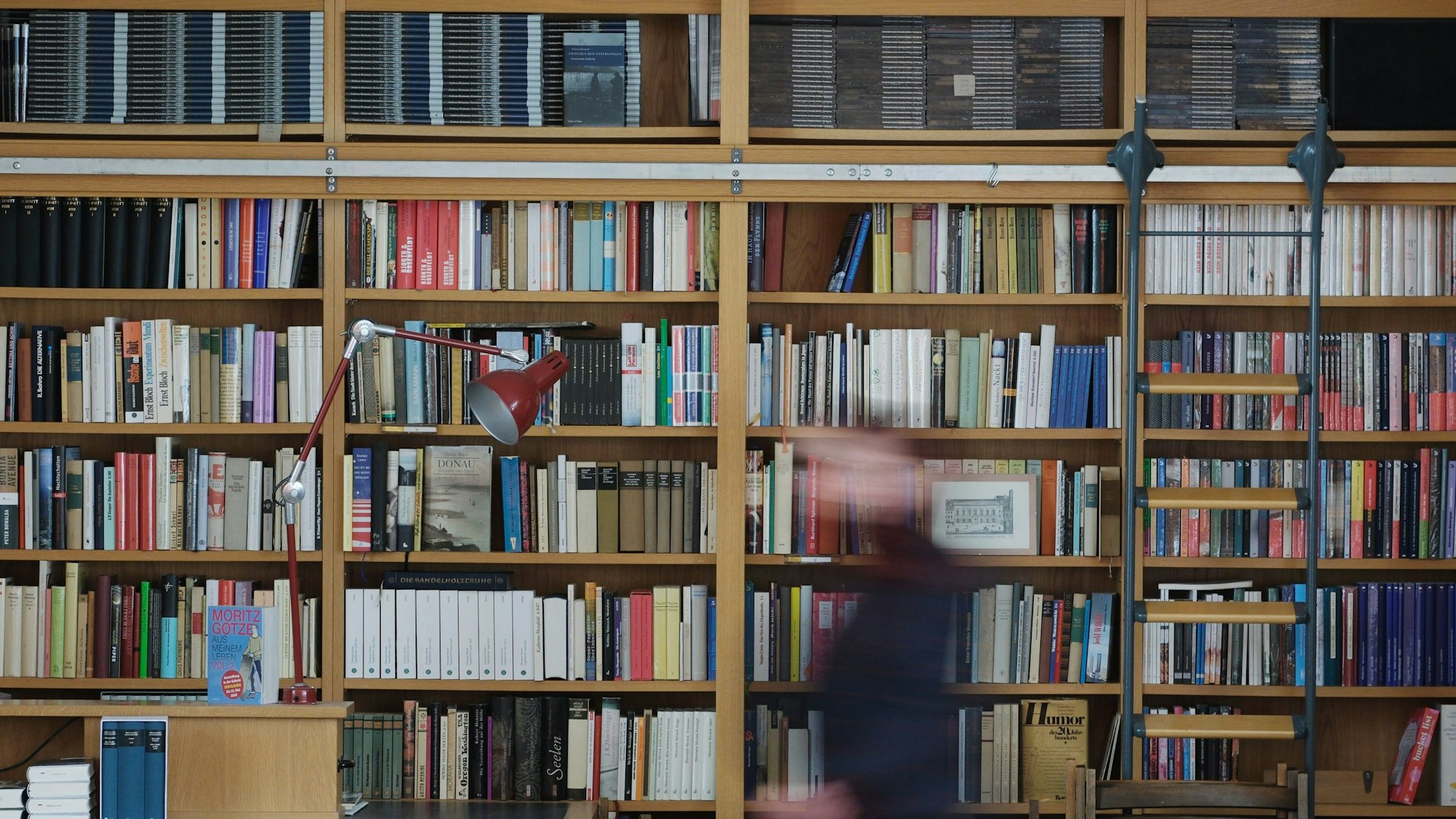 Blick auf ein Regal mit Büchern in einer Leipziger Verlagsbuchhandlung.