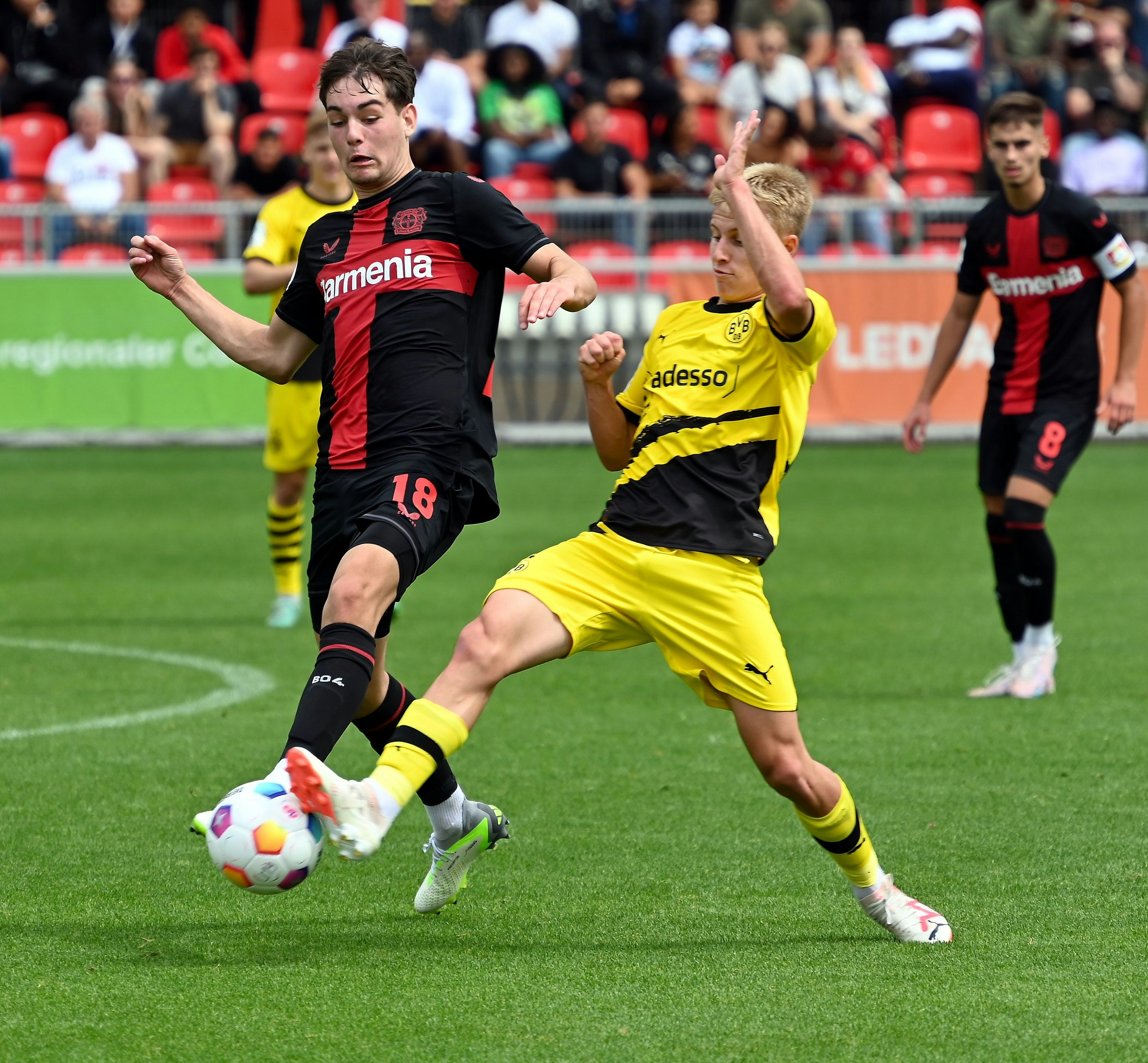 Reno Münz – Sự Táo Bạo Của Tuổi Trẻ Trong Màu Áo Đỏ Đen Reno Münz – Sự Táo Bạo Của Tuổi Trẻ Trong Màu Áo Đỏ Đen