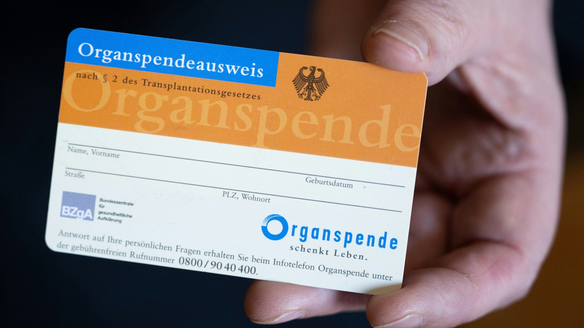 Auf Nummer sicher geht, wer einen ausgefüllten Organspendeausweis immer bei sich trägt.