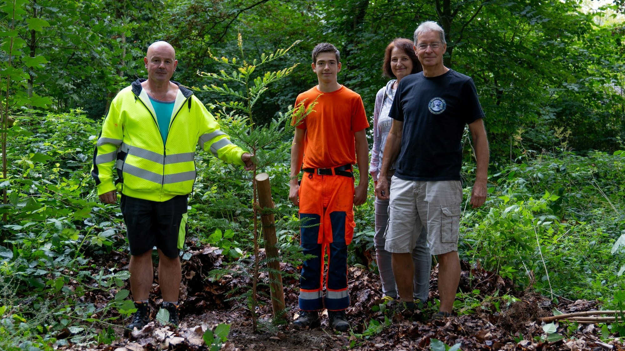Oliver Heidelberg vom Bauhof Leichlingen, Leon Keller, Azubi des Bauhofs, und das Ehepaar Casselmann mit einem jungen Mammutbaum