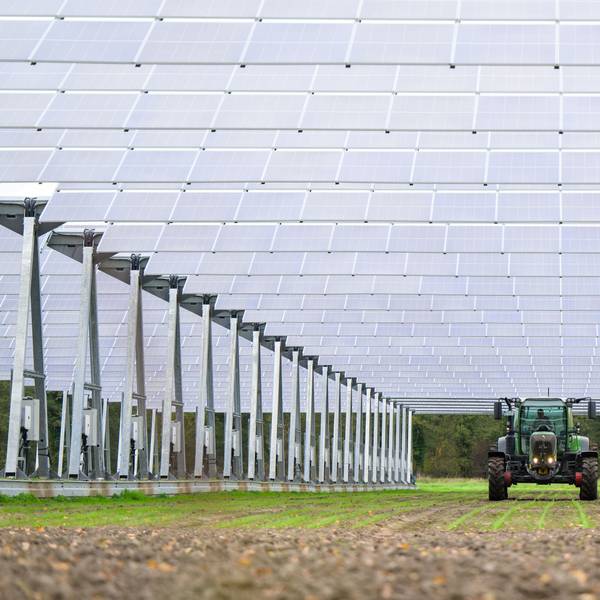 Blick auf eine große Photovoltaikanlage, unter der ein Traktor hindurchfährt.