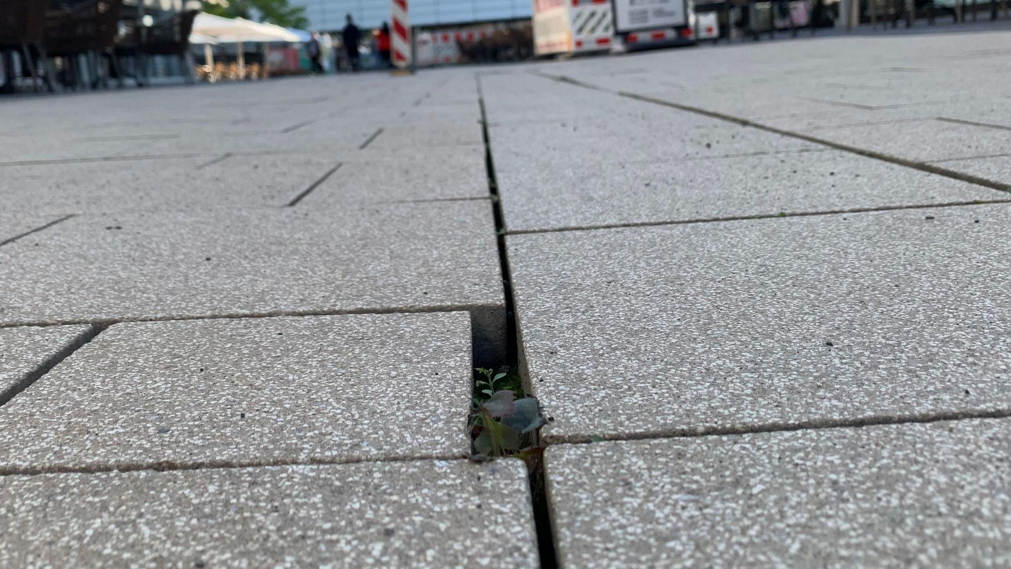Die Fugen zwischen den neu verlegten Pflastersteinen in der Euskirchener Fußgängerzone sind unterschiedlich breit.