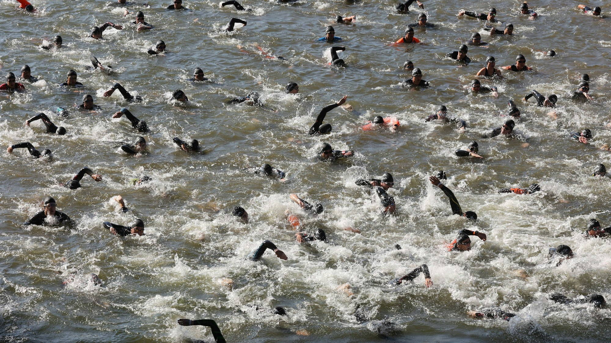 Der Schwimmwettbewerb im vergangenen Jahr im Deutzer Hafen