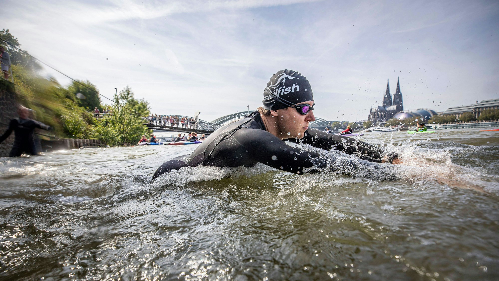 Ein Triathlet beim Schwimmen im Rhein, er trägt einen Neoprenanzug, eine Badekappe und eine Schwimmbrille. Der Kölner Dom und die Hohenzollernbrücke im Hintergrund.