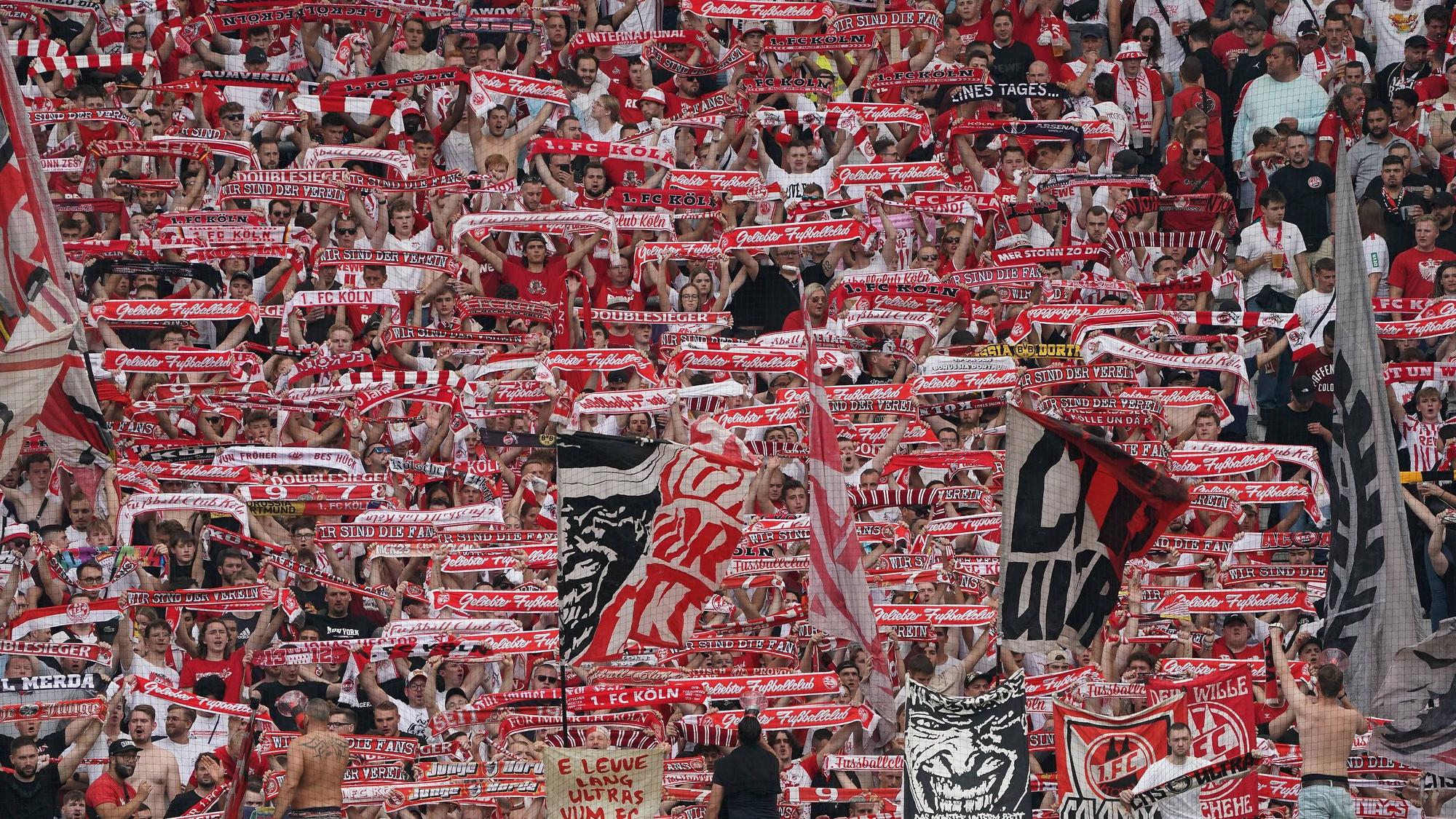 Kölner Fans unterstützen ihr Team vor dem Spiel gegen Eintracht Frankfurt am dritten Bundesliga-Spieltag.