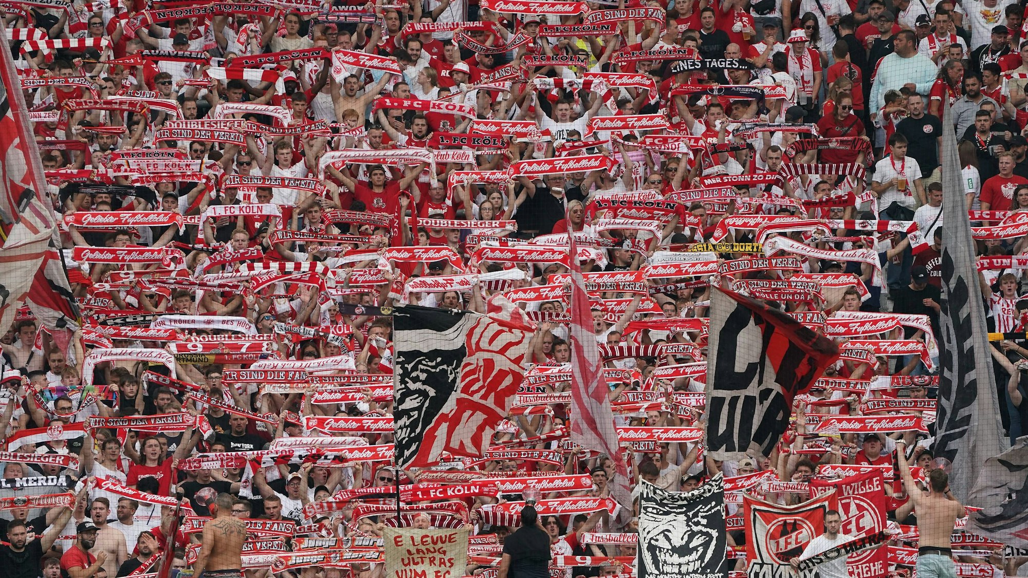 Kölner Fans unterstützen ihr Team vor dem Spiel gegen Eintracht Frankfurt am dritten Bundesliga-Spieltag.